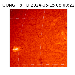 gong - 2024-06-15T08:00:22