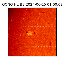 gong - 2024-06-15T01:00:02