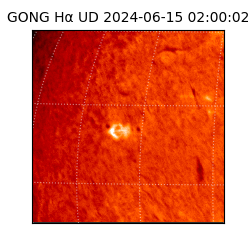 gong - 2024-06-15T02:00:02