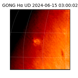 gong - 2024-06-15T03:00:02