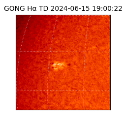 gong - 2024-06-15T19:00:22