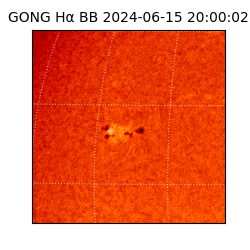 gong - 2024-06-15T20:00:02