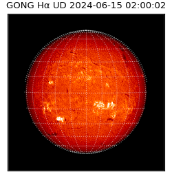 gong - 2024-06-15T02:00:02
