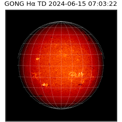 gong - 2024-06-15T07:03:22