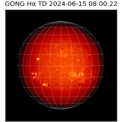 gong - 2024-06-15T08:00:22