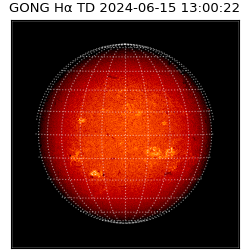 gong - 2024-06-15T13:00:22