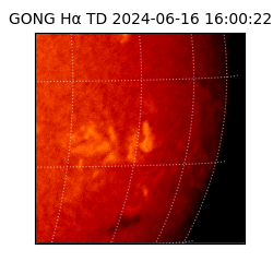 gong - 2024-06-16T16:00:22