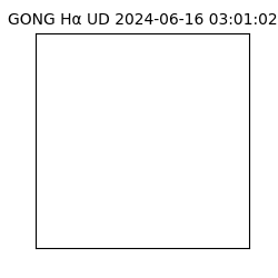gong - 2024-06-16T03:01:02