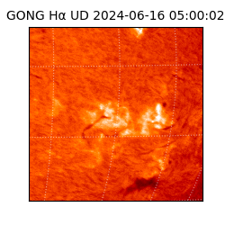 gong - 2024-06-16T05:00:02