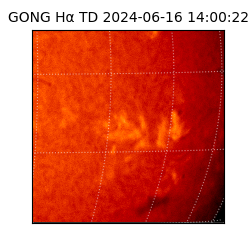 gong - 2024-06-16T14:00:22