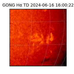 gong - 2024-06-16T16:00:22