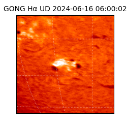 gong - 2024-06-16T06:00:02