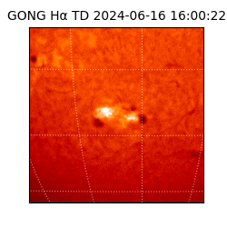 gong - 2024-06-16T16:00:22