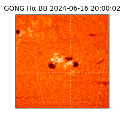 gong - 2024-06-16T20:00:02