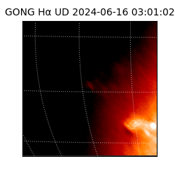 gong - 2024-06-16T03:01:02