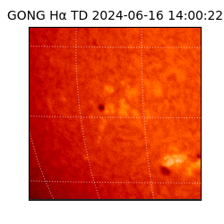 gong - 2024-06-16T14:00:22