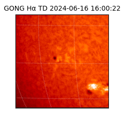 gong - 2024-06-16T16:00:22