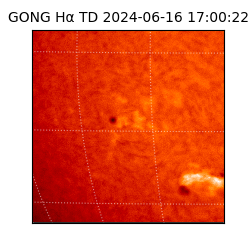 gong - 2024-06-16T17:00:22