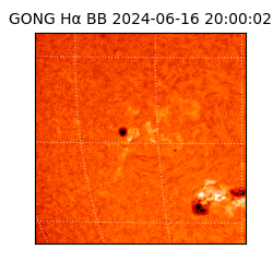 gong - 2024-06-16T20:00:02