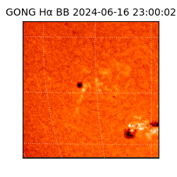 gong - 2024-06-16T23:00:02