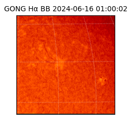 gong - 2024-06-16T01:00:02