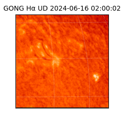 gong - 2024-06-16T02:00:02