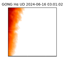 gong - 2024-06-16T03:01:02