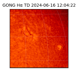 gong - 2024-06-16T12:04:22