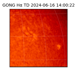 gong - 2024-06-16T14:00:22