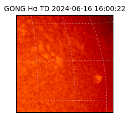 gong - 2024-06-16T16:00:22