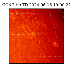 gong - 2024-06-16T19:00:22