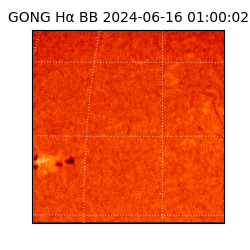 gong - 2024-06-16T01:00:02