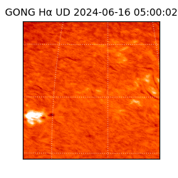 gong - 2024-06-16T05:00:02