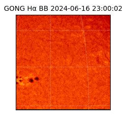 gong - 2024-06-16T23:00:02