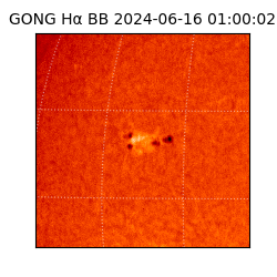 gong - 2024-06-16T01:00:02