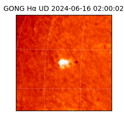 gong - 2024-06-16T02:00:02