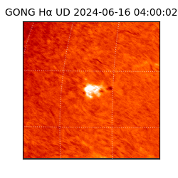 gong - 2024-06-16T04:00:02