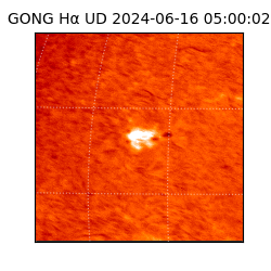 gong - 2024-06-16T05:00:02