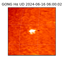 gong - 2024-06-16T06:00:02