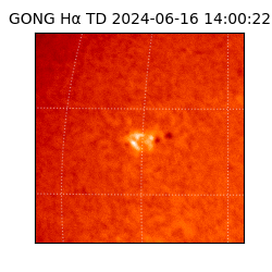 gong - 2024-06-16T14:00:22