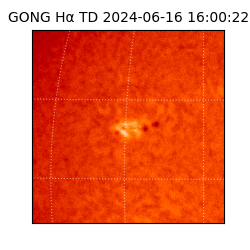 gong - 2024-06-16T16:00:22