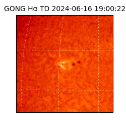 gong - 2024-06-16T19:00:22