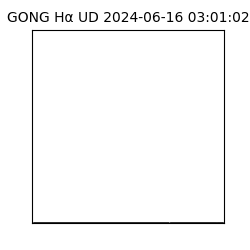 gong - 2024-06-16T03:01:02