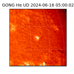 gong - 2024-06-16T05:00:02