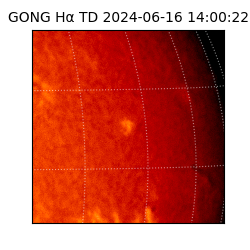 gong - 2024-06-16T14:00:22