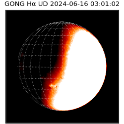 gong - 2024-06-16T03:01:02
