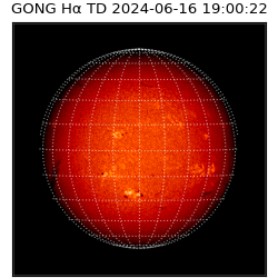 gong - 2024-06-16T19:00:22