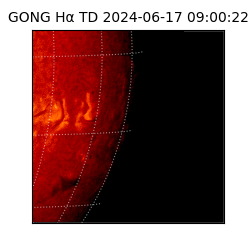 gong - 2024-06-17T09:00:22