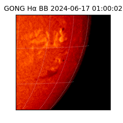 gong - 2024-06-17T01:00:02
