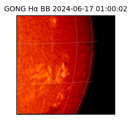 gong - 2024-06-17T01:00:02